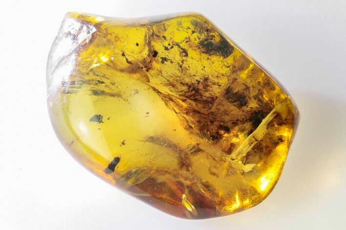 Polished Chiapas Amber ( g) - Mexico #193236